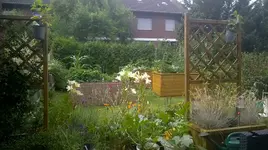 WP_20180617_001.jpg