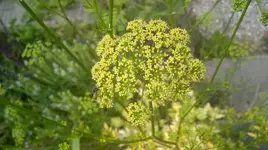 WP_20180617_005.jpg