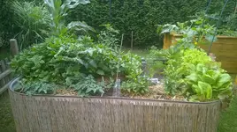 WP_20180617_006.jpg