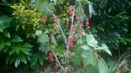 WP_20180617_019.jpg