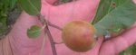 WP_20180617_020.jpg