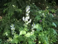 BILD9844.webp