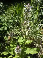 BILD9860.webp