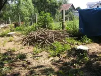 BILD9878.webp