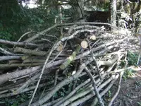 BILD9879.webp