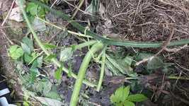 20180617_154532.jpg