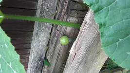 20180617_154536.jpg