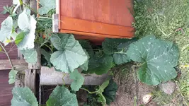 20180617_154512.jpg