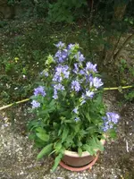 BILD9832.webp
