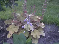 BILD9827.webp
