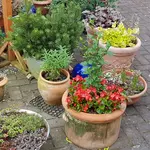20180618_182631.webp