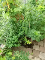 Resized_20180618_150309_6514.webp