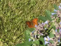 BILD9892.webp