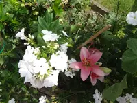 DSC03200.webp