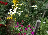 DSC03206.webp
