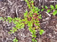 20180619_080527.webp