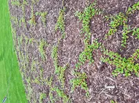 20180619_080542.webp
