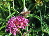 DSCF1423 (2).webp