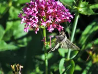 DSCF1421 (2).webp