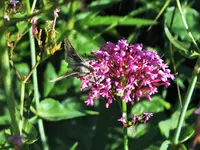 DSCF1419 (2).webp