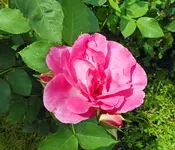 DSCN0399.webp