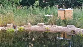20180617_191252_Richtone(HDR).jpg