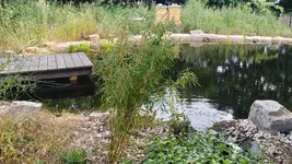 20180617_191307_Richtone(HDR).jpg