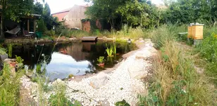 20180617_191354.jpg
