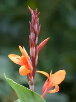 image001.webp