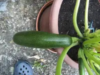 BILD9886.webp