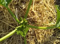 IMG_20180619_190307.webp