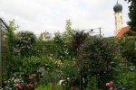 Clematis0118.jpg
