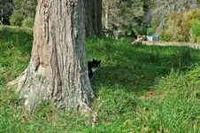 IMG_8854v (2).webp