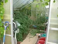 P1130821.webp