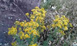 20180620_1945080.jpg