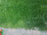 20180620_203153.webp