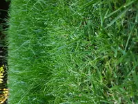 20180620_203159.webp