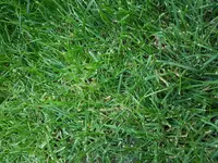 20180620_203136.webp
