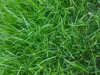 20180620_203139.webp