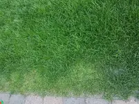20180620_203147.webp