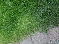 20180620_203130.webp