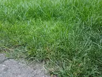 20180620_203134.webp