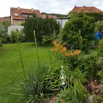 20180618_182146.webp