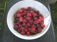 BILD9910.webp