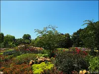 c043.webp