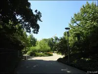 c047.webp