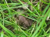 20180616_144118.webp