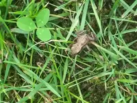 20180616_144626.webp
