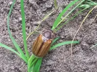 20180616_142444.webp