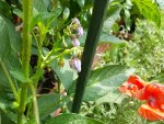 20180621_120746_resized.jpg